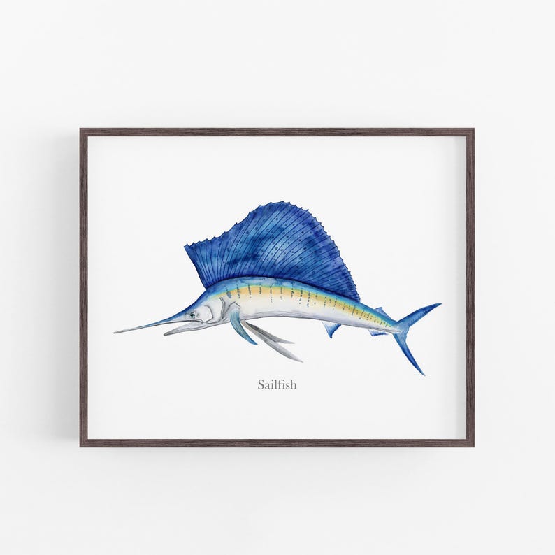 The image is a framed print depicting a blue sailfish, which is a type of fish known for its large, fan-shaped fins and distinctive blue coloration.