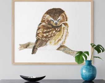 Arte per cameretta dei bambini con gufo, stampa per cameretta dei bambini con tema bosco, acquerello di gufo, gufo addormentato, decorazioni per cameretta dei bambini, stampa di animali per bambini, regalo per neonati