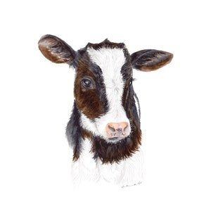 May include: Watercolour painting of a brown and white calf with a pink nose. The calf is looking directly at the viewer.