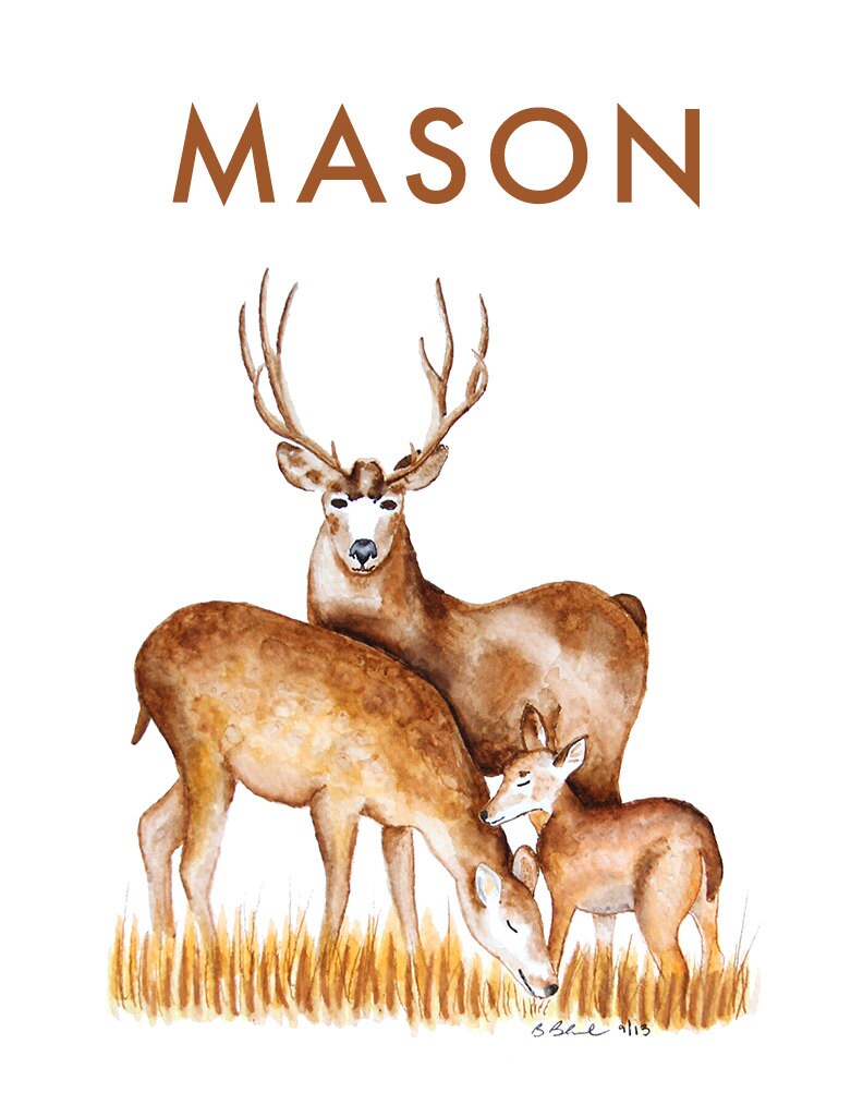 Woodland Animal Personalized Baby Decor Custom Nursery Art Etsy