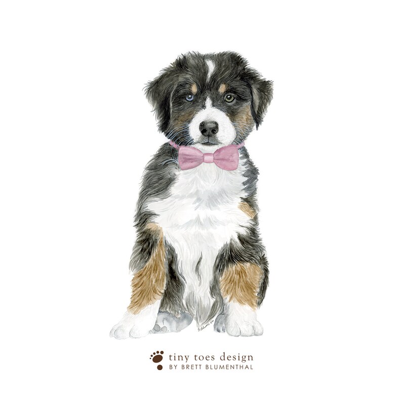 May include: A black, brown, and white puppy wearing a pink bow tie. The puppy is sitting with its paws crossed and looking directly at the camera. The background is white.