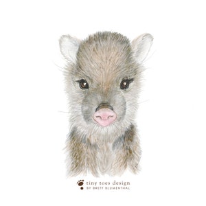 Baby Javelina Art, Southwest Nursery Decor, Javelina Watercolor, Javelina Painting, Desert Animal Print, Baby Animal, Central America image 4