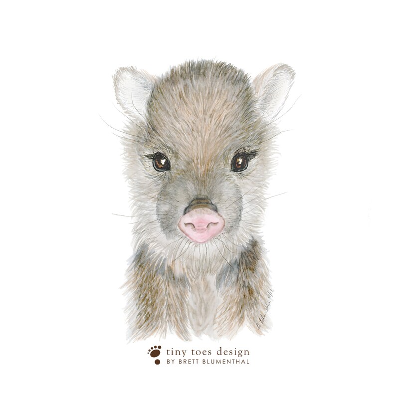 Baby Javelina Art, Southwest Nursery Decor, Javelina Watercolor, Javelina Painting, Desert Animal Print, Baby Animal, Central America image 4
