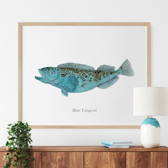 Blue Lingcod Watercolor Print, Pacific Coast Fish Wall Art