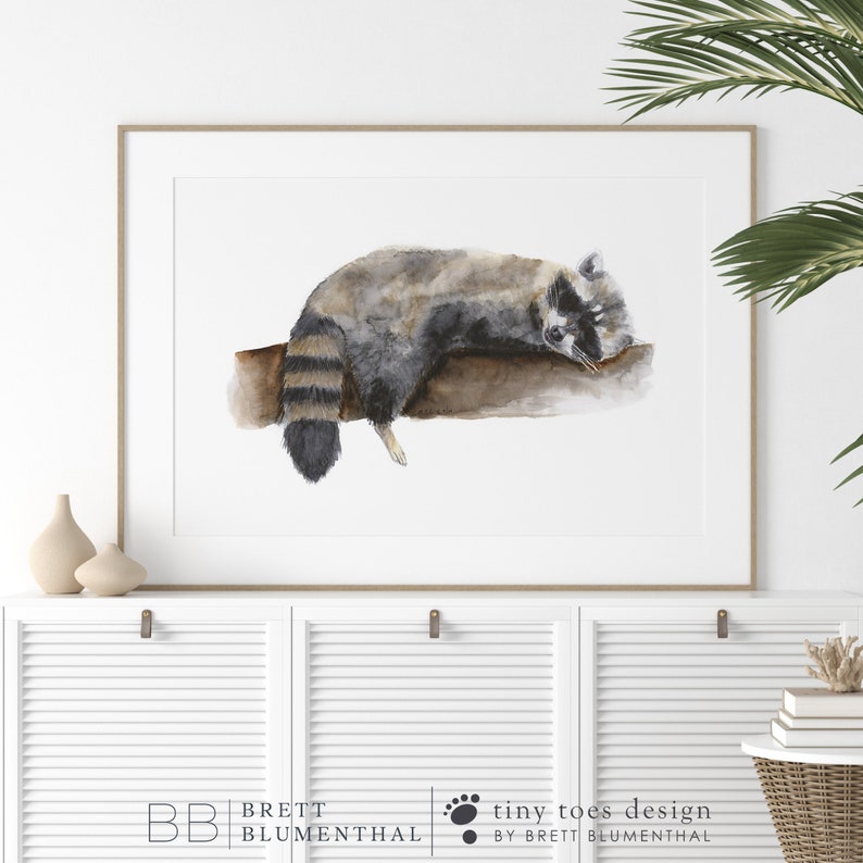 May include: Watercolour painting of a raccoon sleeping on a branch. The raccoon is grey and black with a white stripe on its face. The background is white.