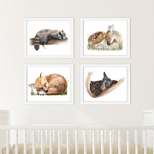 May include: Set of four watercolour prints featuring sleeping animals. The prints depict a raccoon, a deer fawn, a fox, and a bear cub, all curled up and asleep in a woodland setting.