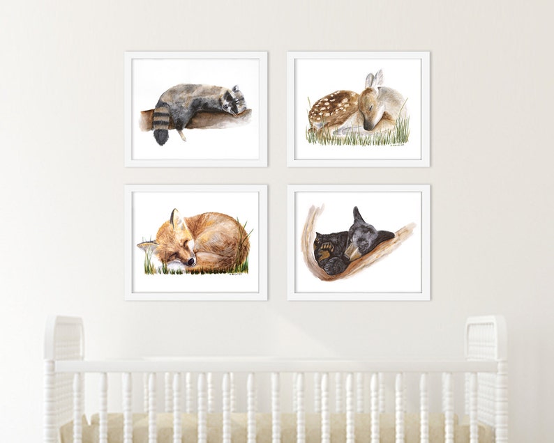 May include: Set of four watercolour prints featuring sleeping animals. The prints depict a raccoon, a deer fawn, a fox, and a bear cub, all curled up and asleep in a woodland setting.