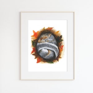 May include: Watercolor painting of a gray squirrel curled up in a nest of autumn leaves. The squirrel is sleeping with its tail wrapped around its body. The leaves are shades of orange, red, and brown.