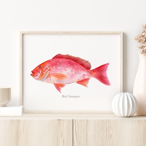 Red Snapper-aquarelprint, vismuurkunst, decor diepzeevissen