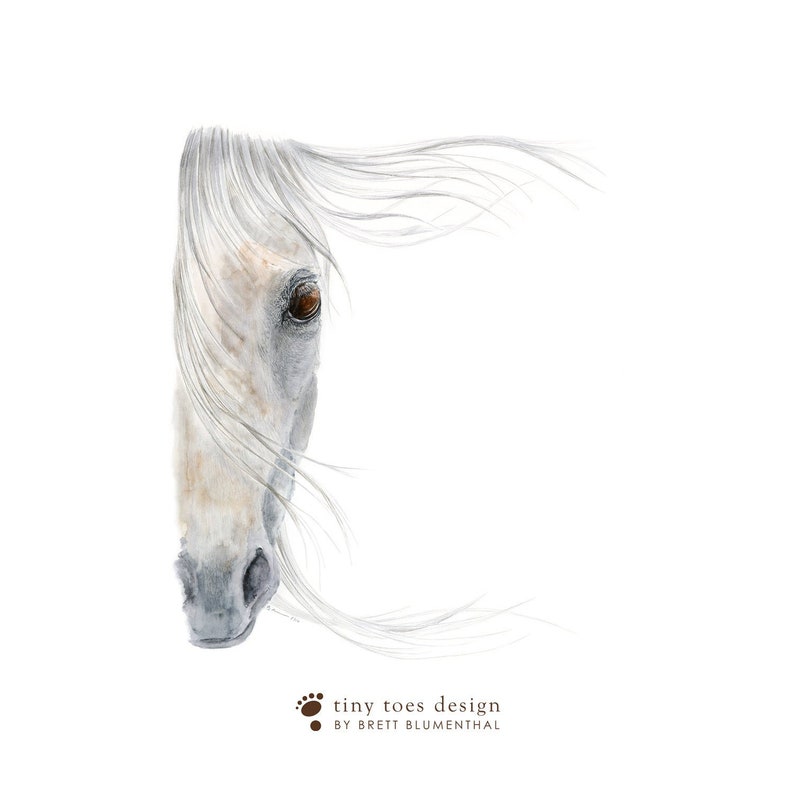 May include: A watercolour painting of a white horse's head with a brown eye. The horse's mane is flowing in the wind. The painting is signed "tiny toes design by Brett Blumenthal".