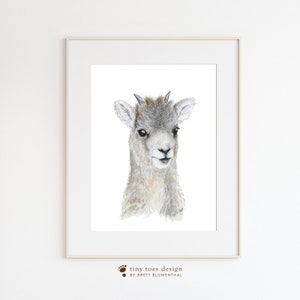 Baby Sheep Print, Lamb Nursery Art, Watercolor Lamb, Bighorn Sheep Art, Mountain Sheep Wall Art, Big Horn Baby Sheep, Desert Nursery Decor image 4