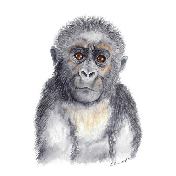 Baby Gorilla - Etsy