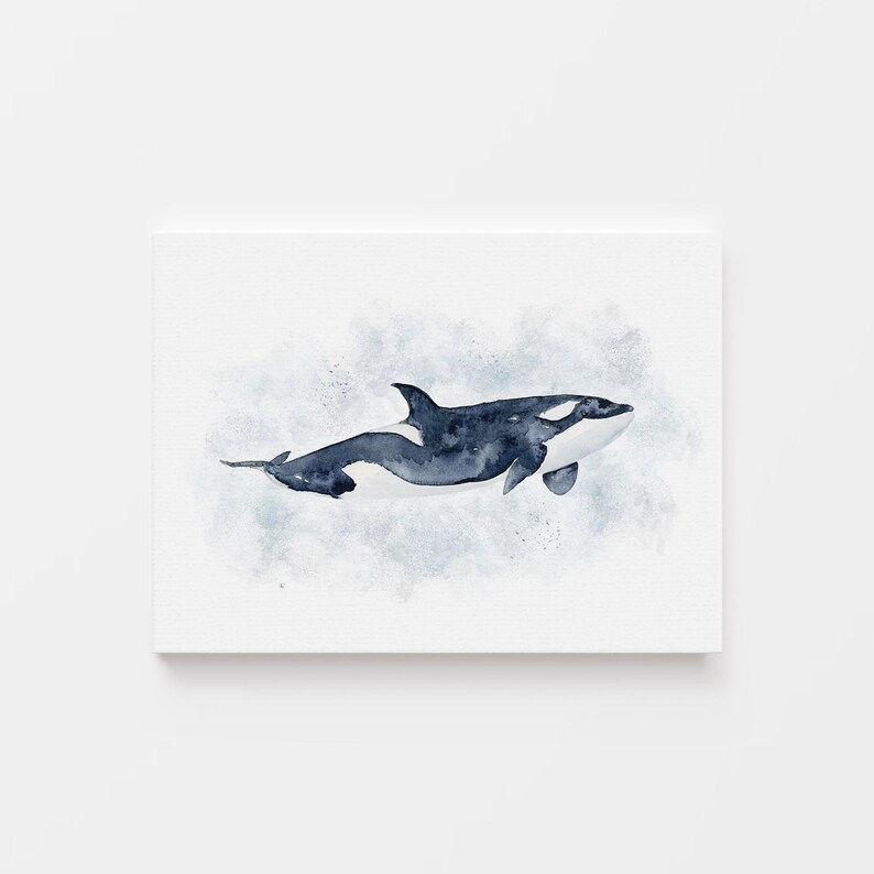 A watercolor painting of a killer whale, also known as an orca, swimming in the ocean.
