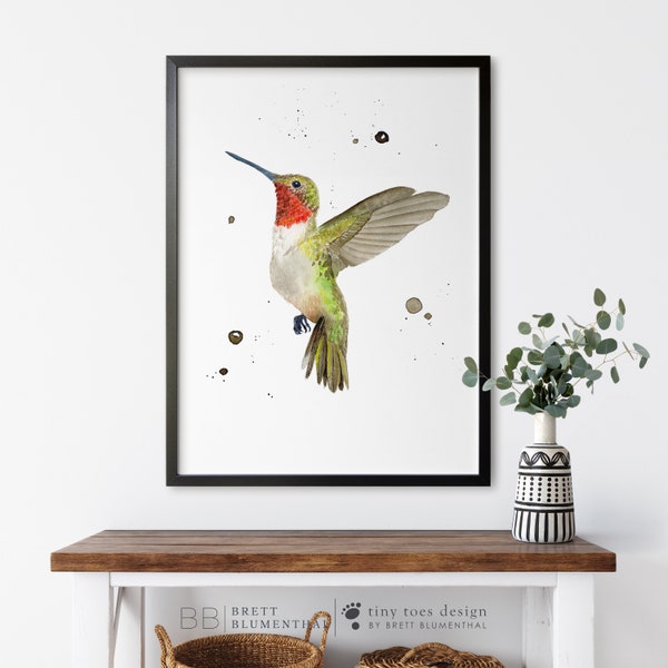 Ruby-throated Hummingbird Watercolor, North American Bird, Hummingbird Art Print, Audubon Print, Bird Watercolor, Birding Art, Bird Gift