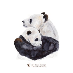 a couple of panda bears sitting next to each other