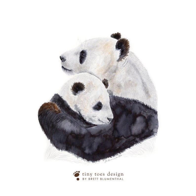 a couple of panda bears sitting next to each other