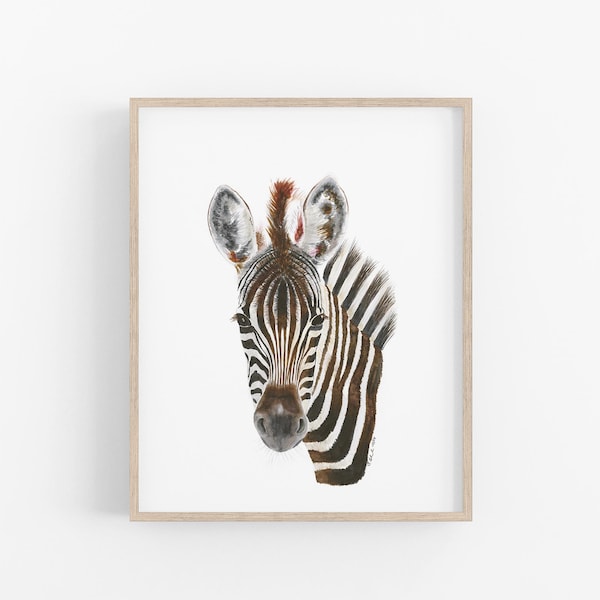 Stampa per la cameretta con ritratto di una zebra cucciola, decorazione murale safari ad acquerello.