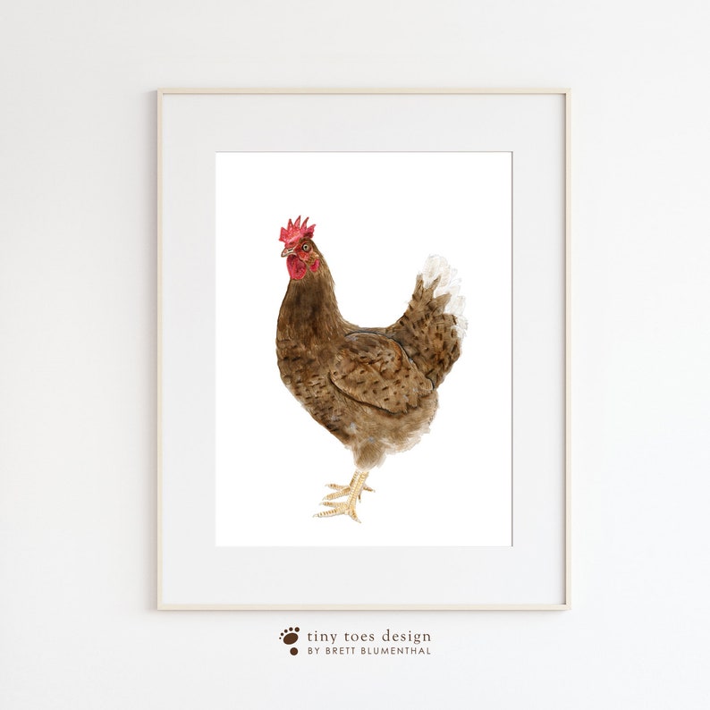 a picture of a chicken in a frame