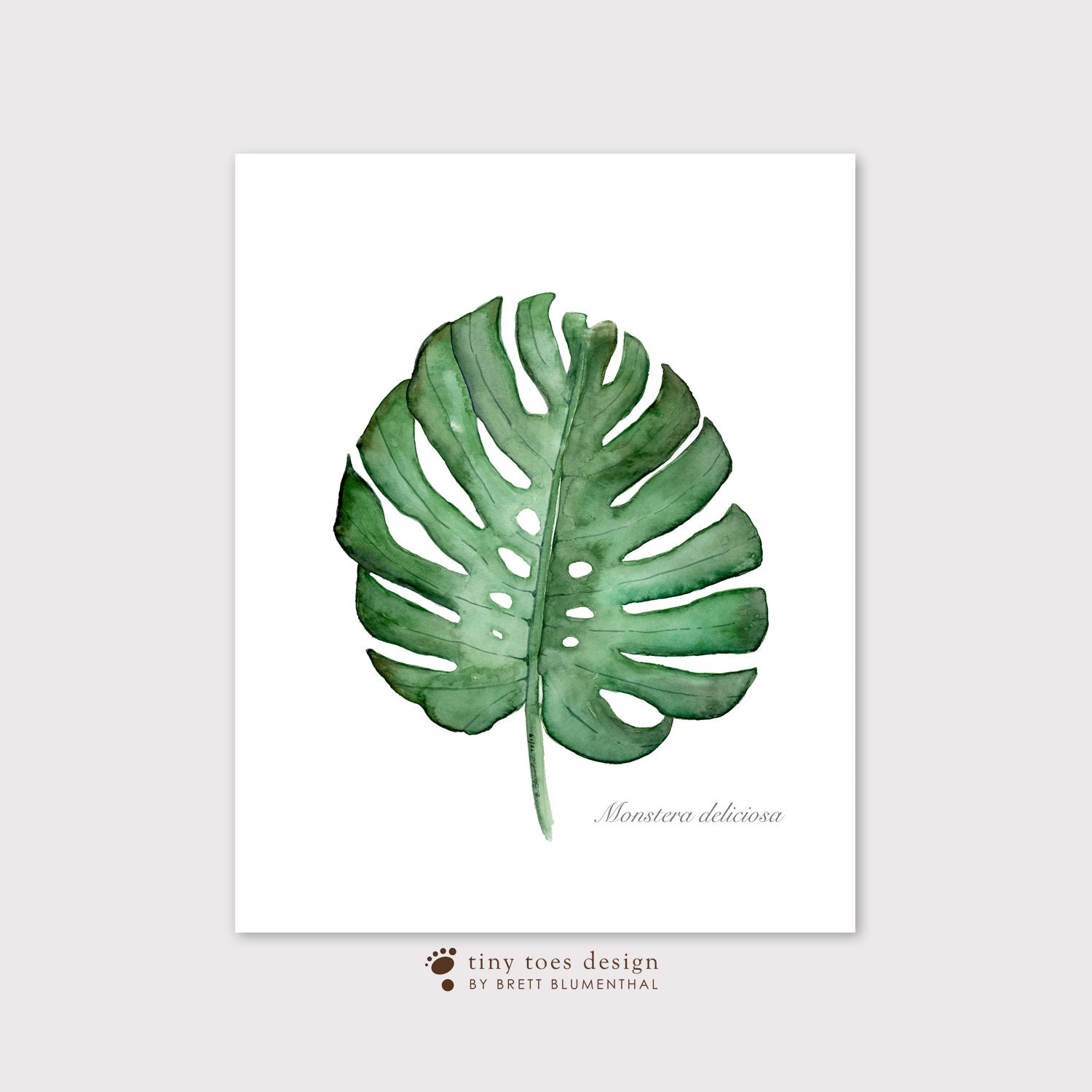 Tropical Wall Art Botanical Print Set of 4 Prints Botanical | Etsy
