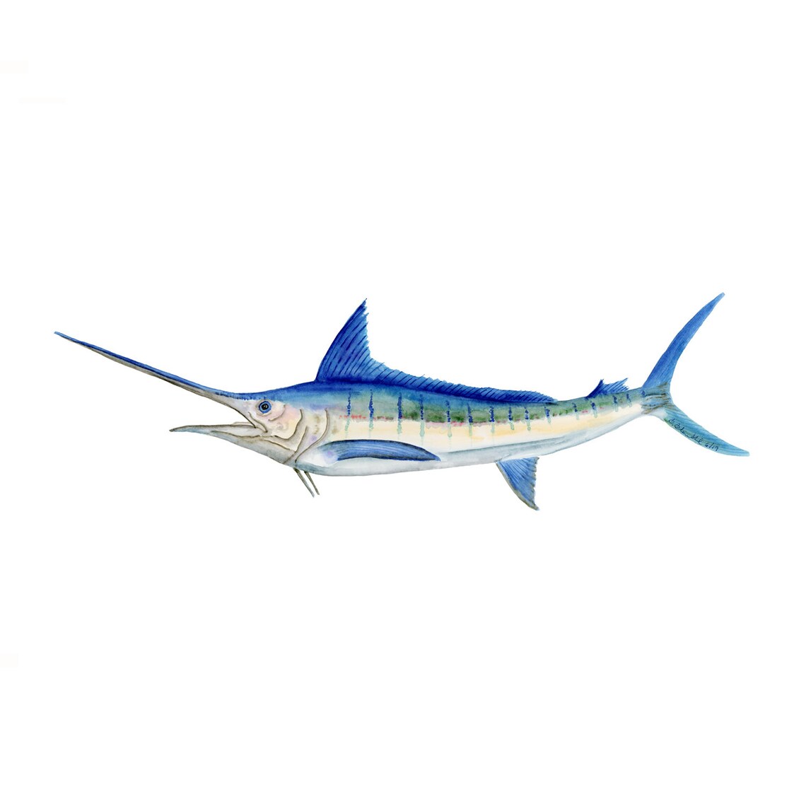 Blue Marlin Watercolor Billfish Wall Art Marlin Art Print Etsy