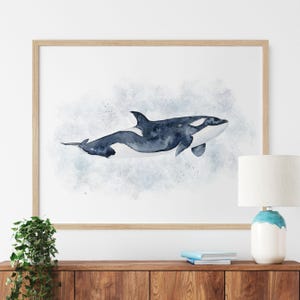 a picture of an orca on a wall above a dresser
