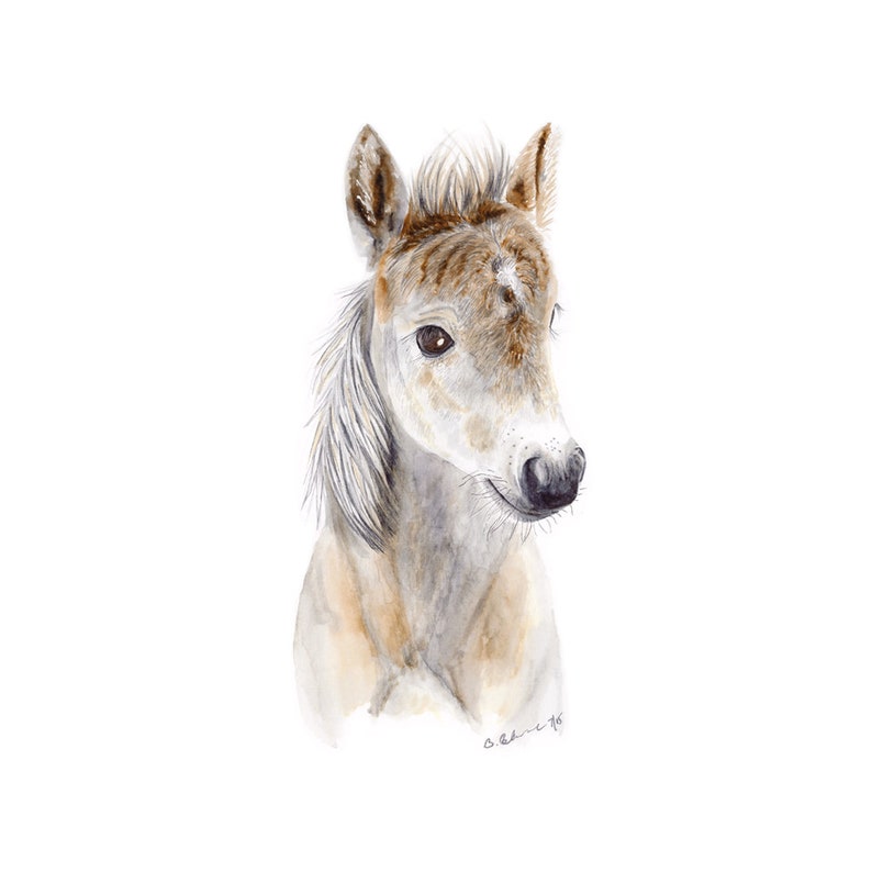 May include: A watercolor painting of a light brown and white horse foal with a white mane and tail. The foal is looking to the right of the image.
