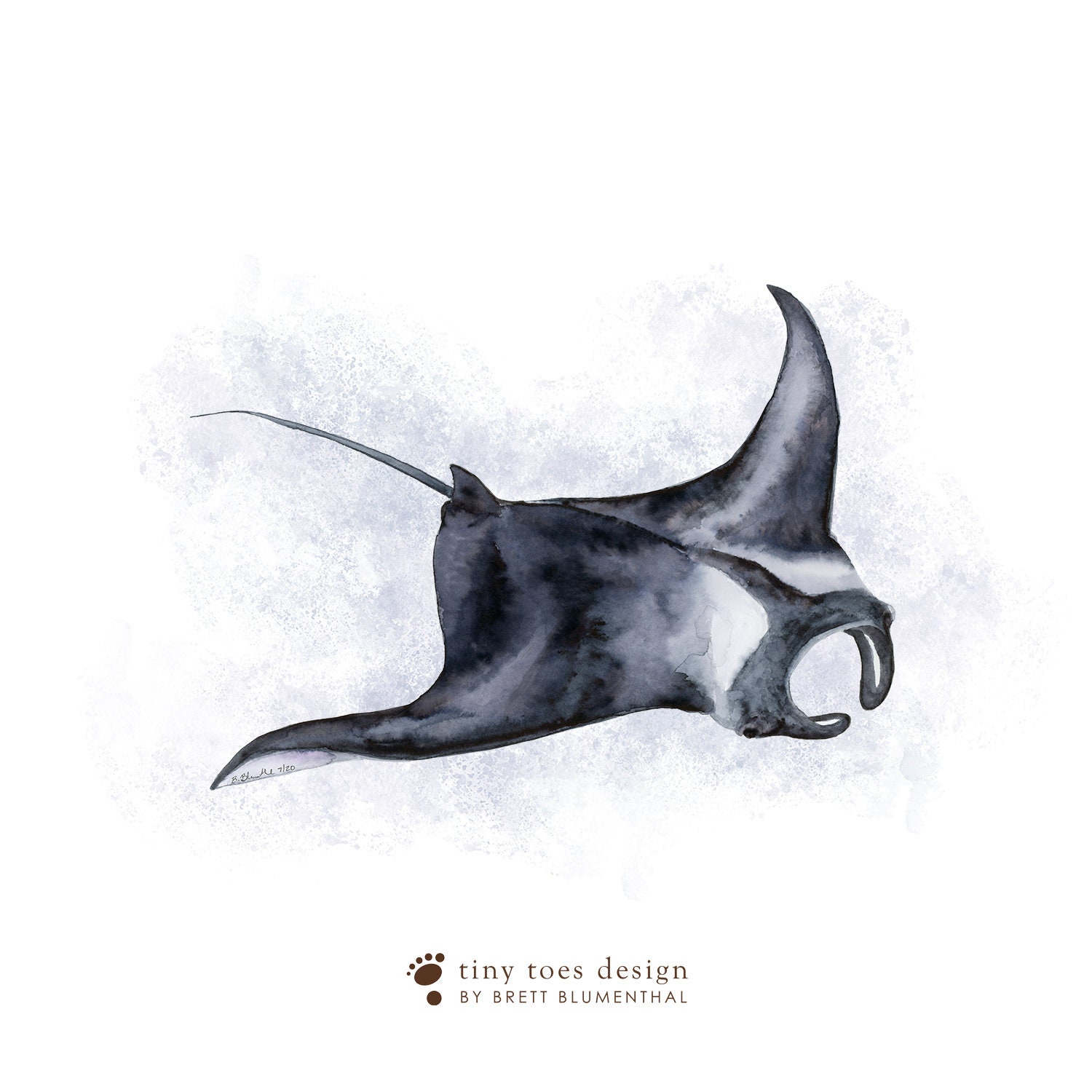 Manta Ray Watercolor Ocean Animal Print Manta Ray Wall Art - Etsy Australia