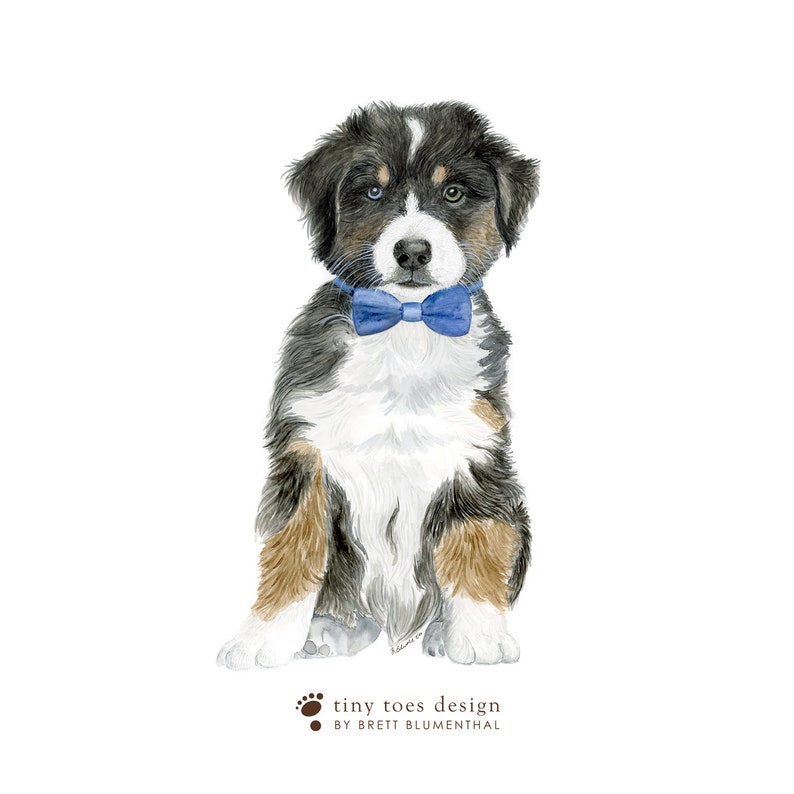 May include: A watercolor painting of a Bernese Mountain Dog puppy wearing a blue bow tie. The puppy is sitting with its paws crossed and looking directly at the viewer.