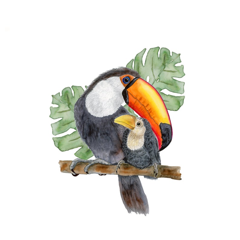 Toucan Watercolor, Toucan Bird Print, Jungle Nursery Art, Rainforest Animals, Bird Painting, Rainforest Bird Art, Orange, Red, Yellow image 3