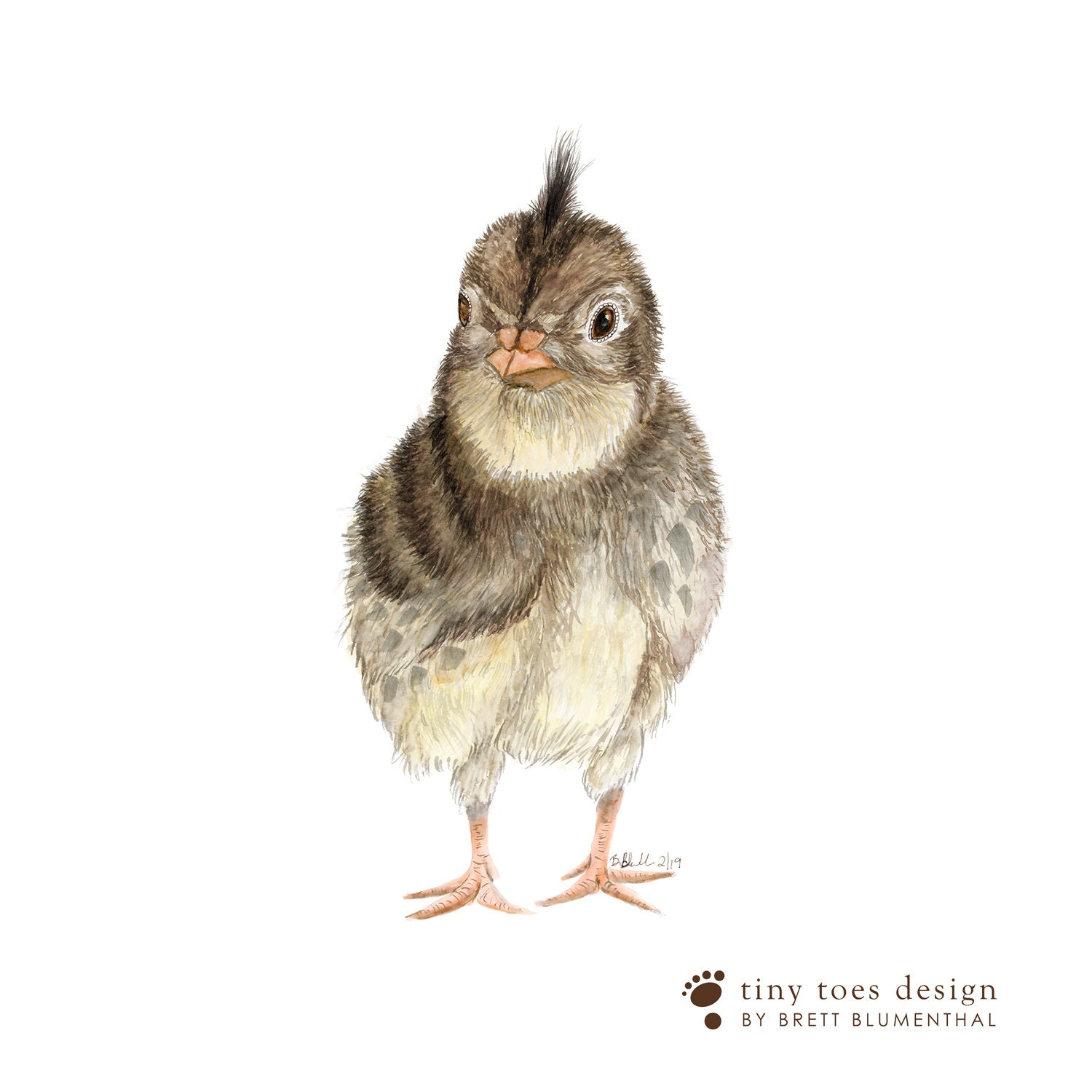 Quail Art Print Baby Bird Art Quail Chick Painting | Etsy