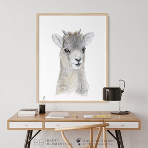 May include: A watercolor painting of a young mountain goat with brown and gray fur. The goat has small horns and is looking directly at the viewer. The painting is framed in a light wood frame and is hanging on a white wall.