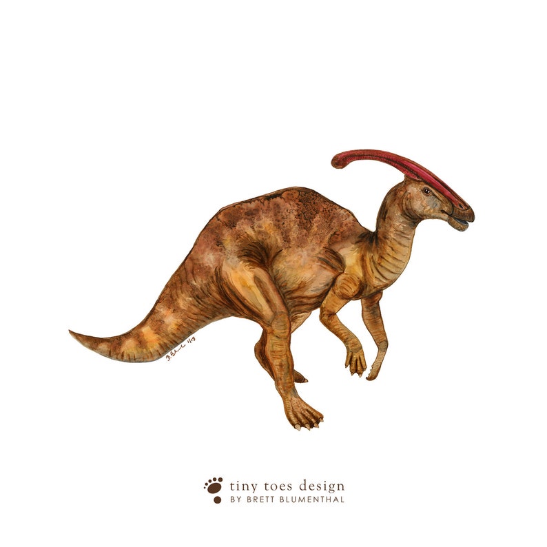 Parasaurolophus Art, Dinosaur Print, Dinosaur Watercolor, Kids Dino Art, Dinosaur Painting, Boy Room Decor, Dinosaur Nursery Art, Dino Decor image 4