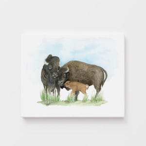 Bison Family Watercolor Print, Cowboy Nursery Wall Art