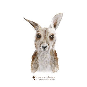 Animal Nursery Decor, Baby Kangaroo Art, Kangaroo Joey Print, Baby Animal Print, Australian Animal, Kangaroo Nursery, Animal Art, Home Decor image 3