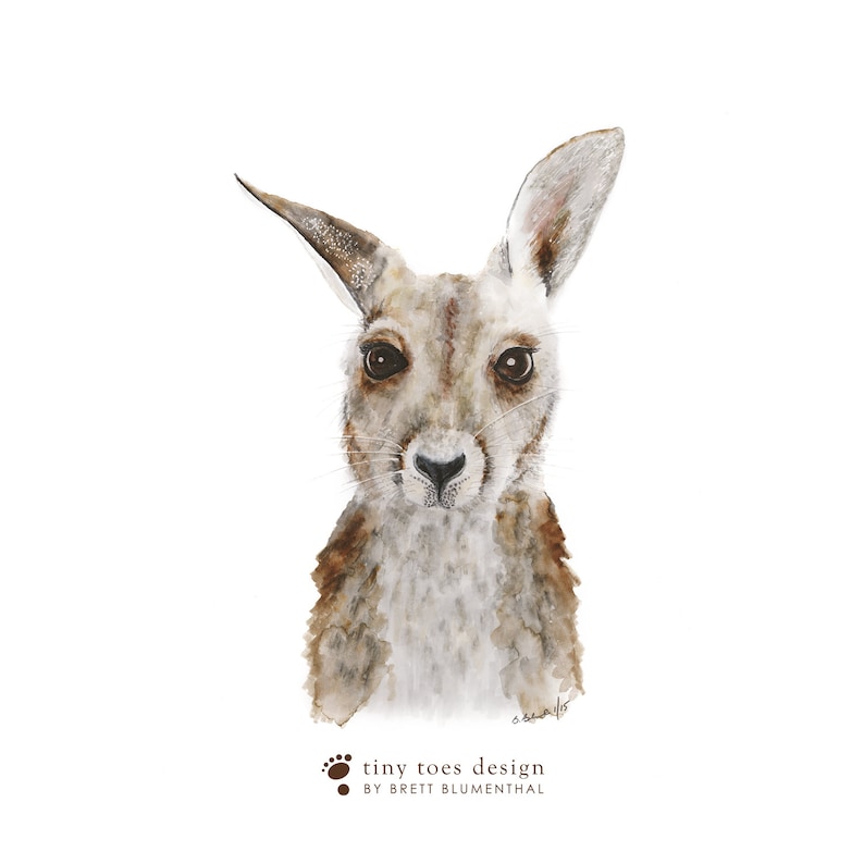 Animal Nursery Decor, Baby Kangaroo Art, Kangaroo Joey Print, Baby Animal Print, Australian Animal, Kangaroo Nursery, Animal Art, Home Decor image 3