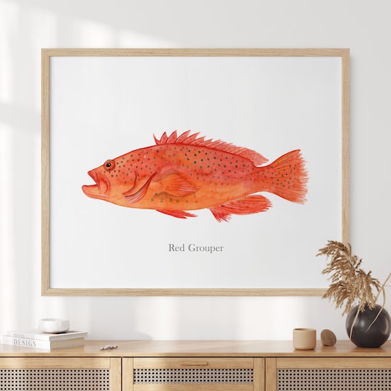 Red Grouper Watercolor Print, Fish Wall Art, Sport Fishing Decor