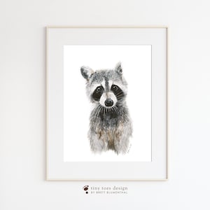 K&ouml;nnte beinhalten: Ein Aquarellbild eines Waschb&auml;ren vor wei&szlig;em Hintergrund. Der Waschb&auml;r schaut den Betrachter direkt an und hat einen neugierigen Gesichtsausdruck. Der Waschb&auml;r ist grau und schwarz mit einer wei&szlig;en Maske um die Augen.