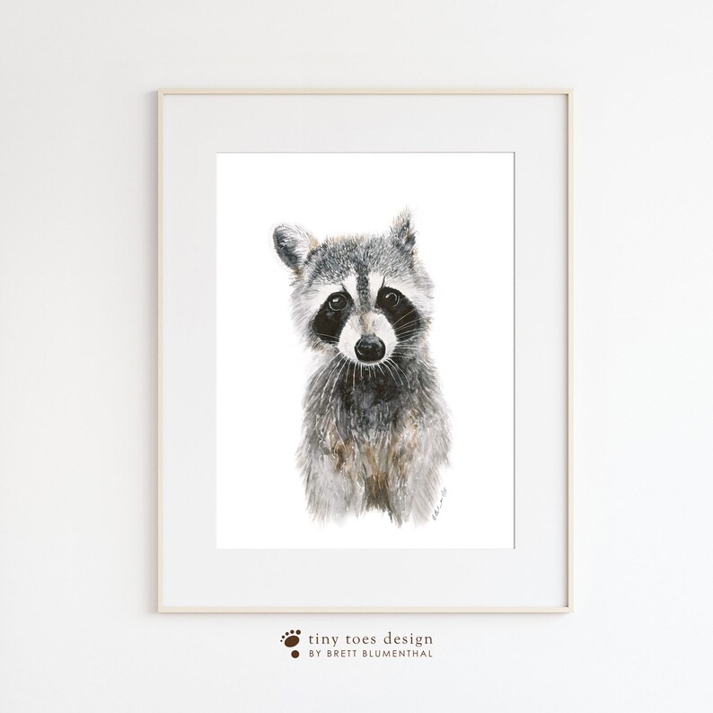 K&ouml;nnte beinhalten: Ein Aquarellbild eines Waschb&auml;ren vor wei&szlig;em Hintergrund. Der Waschb&auml;r schaut den Betrachter direkt an und hat einen neugierigen Gesichtsausdruck. Der Waschb&auml;r ist grau und schwarz mit einer wei&szlig;en Maske um die Augen.