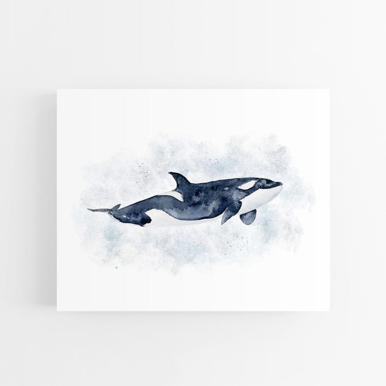 A watercolor painting of a killer whale, also known as an orca, swimming in the ocean.