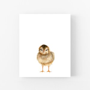 A small brown bird with orange feet is standing on a white background.