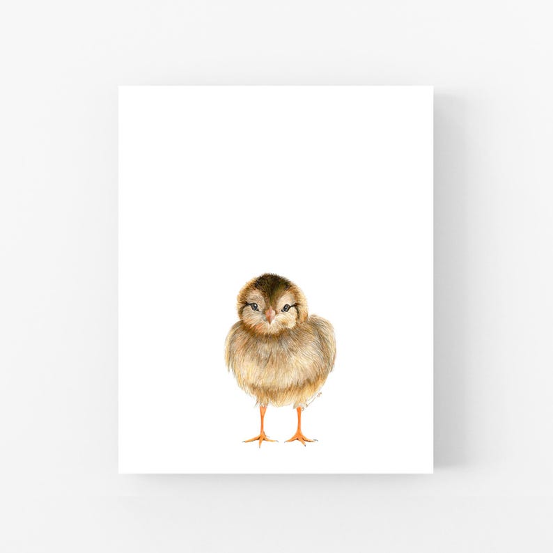 A small brown bird with orange feet is standing on a white background.
