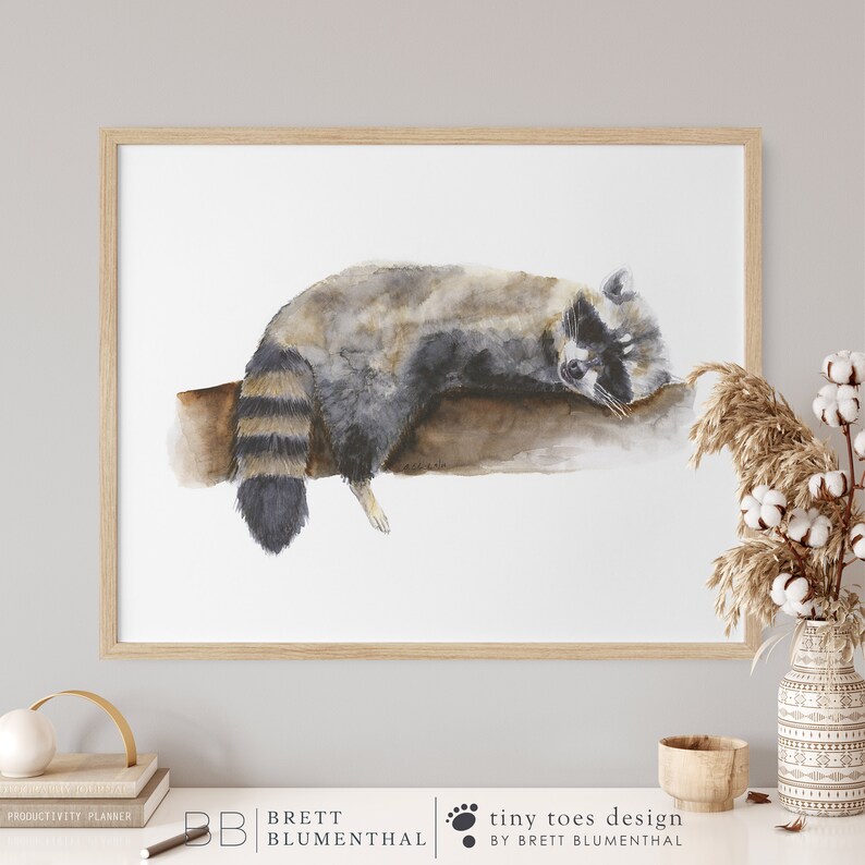 May include: Watercolour painting of a raccoon sleeping on a branch. The raccoon is grey and black with a white stripe on its face. The background is white.
