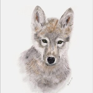 Set van 6 canvasprints met bosdieren, muurdecoratie voor de kinderkamer. afbeelding 3