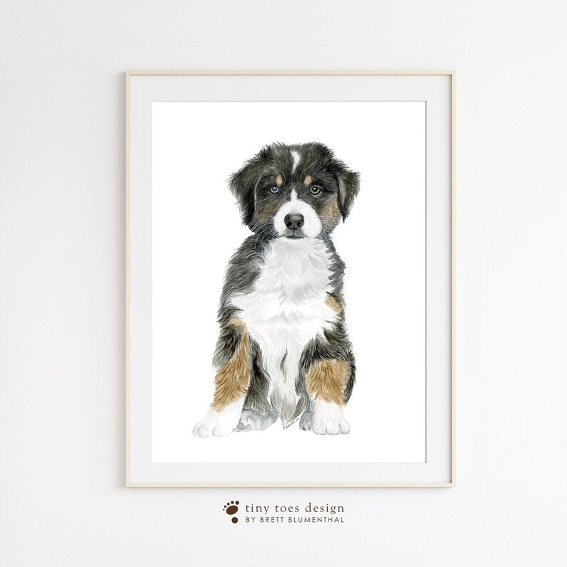 May include: Watercolor painting of a Bernese Mountain Dog puppy sitting with its paws crossed. The puppy has black, white, and brown fur and blue eyes.