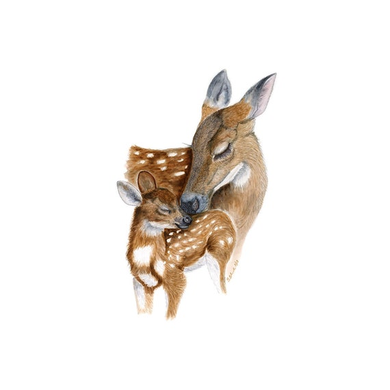 Deer Watercolor Mom and Baby Woodland Animal Painting - Etsy Deer Watercolor Mom and Baby Woodland Animal Painting - Etsy