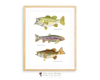 Bass and Trout Fish Art, Fly Fishing Lake House Decor, Angler Gift