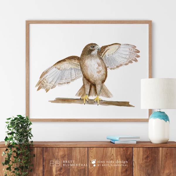 Red Tailed Hawk Painting, Red Tail Hawk Print, Bird Watercolor Art, Audubon Wall Art, Bird of Prey, Raptor Artwork, American Bird Decor