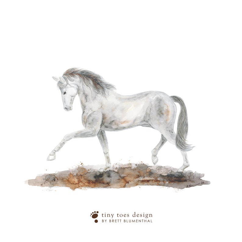 May include: A watercolor painting of a white horse with a brown mane and tail, standing on a brown and orange watercolor background. The horse is in a running pose with its front leg raised. The painting is signed "tiny toes design by Brett Blumenthal".
