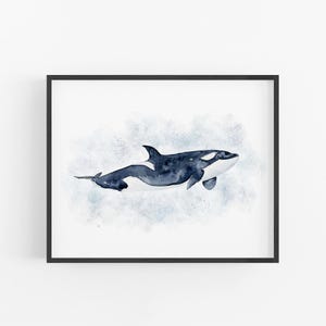 A framed watercolor painting depicting a black and white orca whale swimming in the ocean.