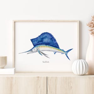 a framed illustration of a blue sailfish, which is a type of fish known for its large, fan-shaped fins and distinctive blue coloration.